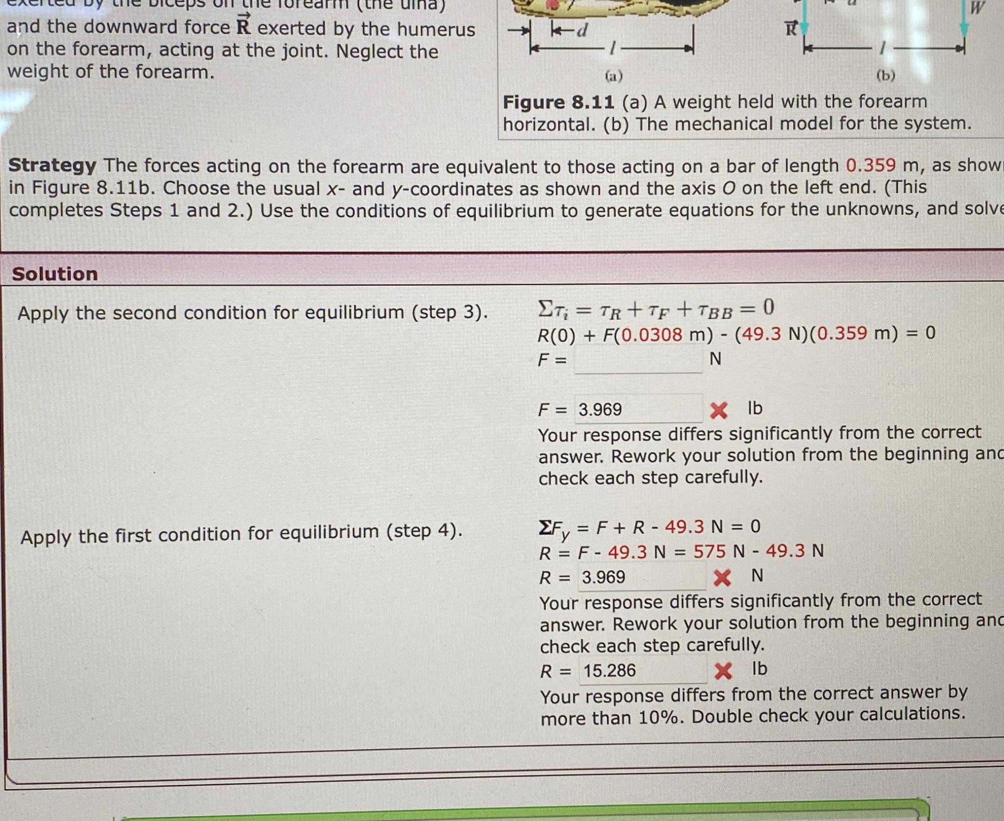  and the downward force vec(R) exerted by the humerus on the