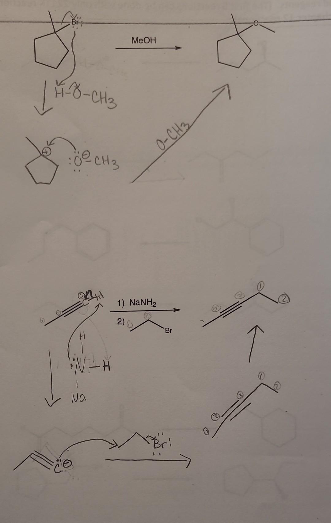  Is this mechanistic correct?