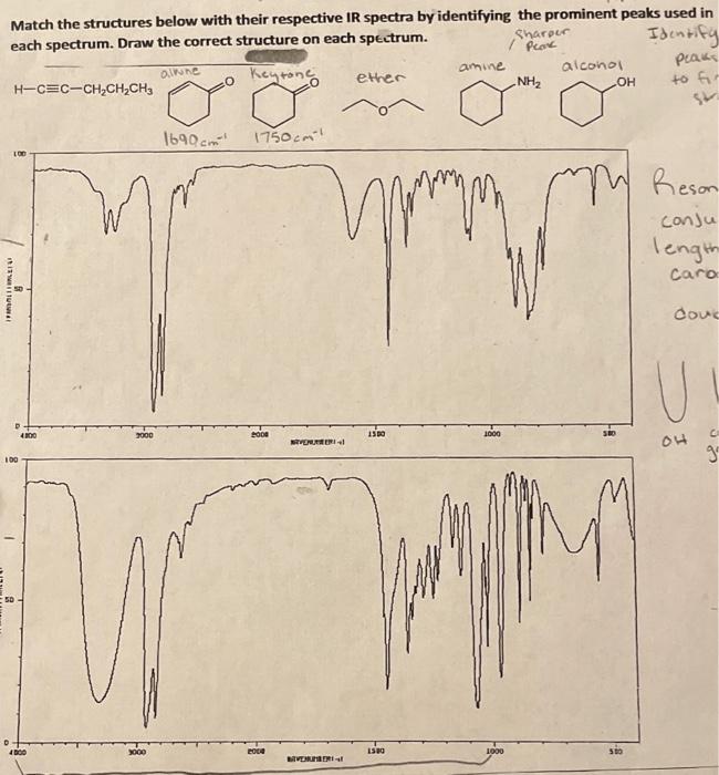  help pls.. ignore the notes taken Match the structures below with