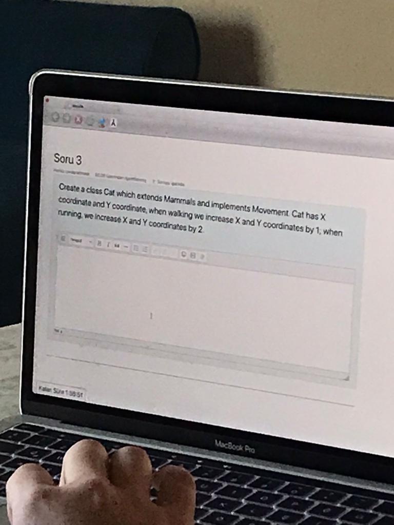  JAVA FOONGA Soru 3 Create a class Cat which extends Mammals