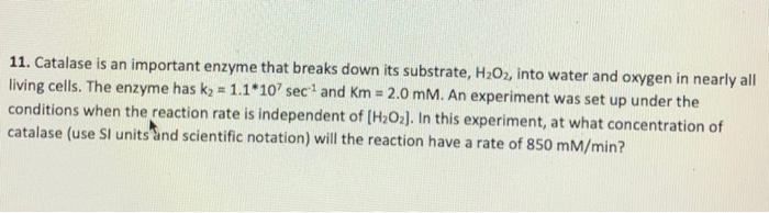 below: 2C5H C10H 2 The concentration of CsHs was followed over time