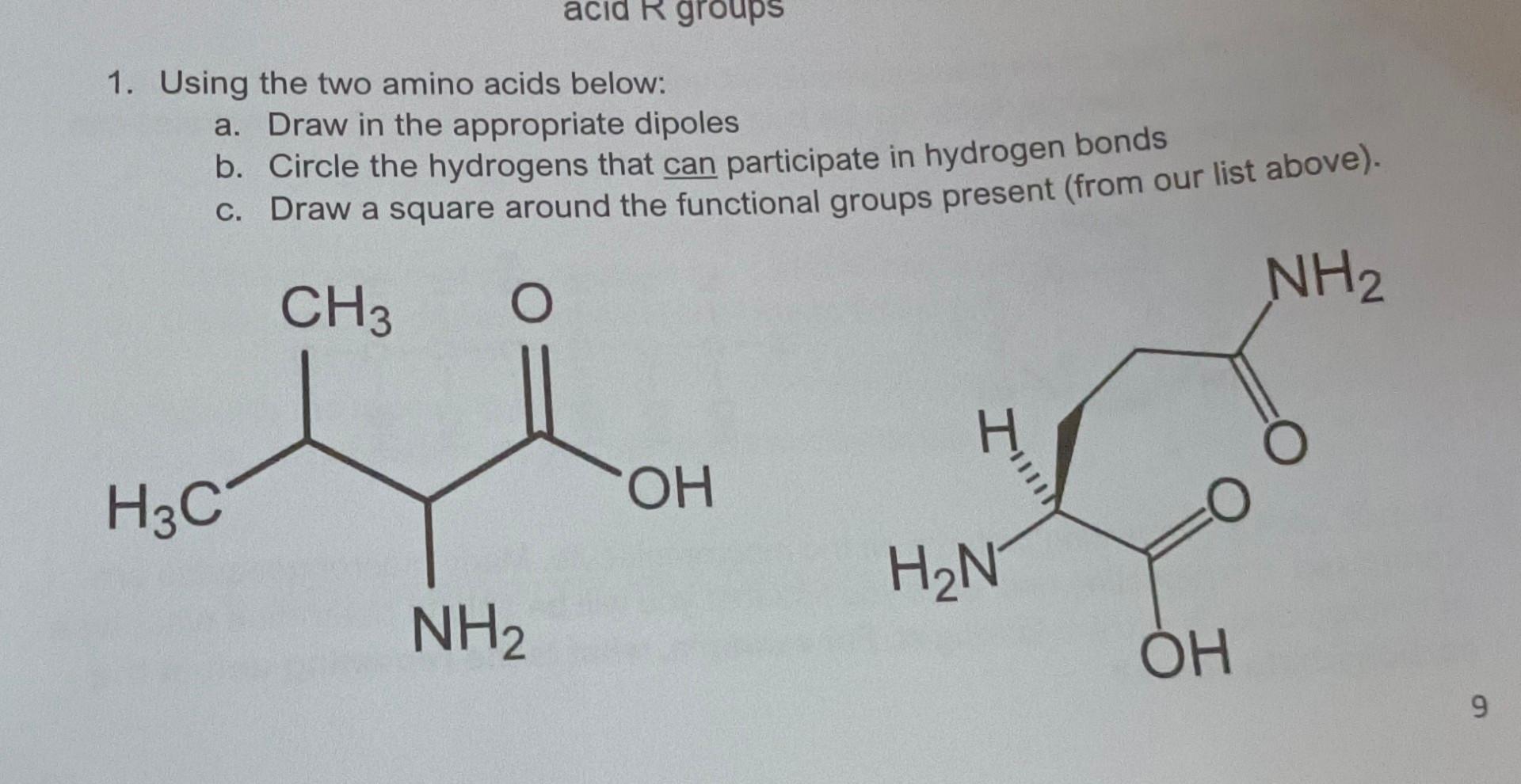 acid R groups 1. Using the two amino acids below: a.