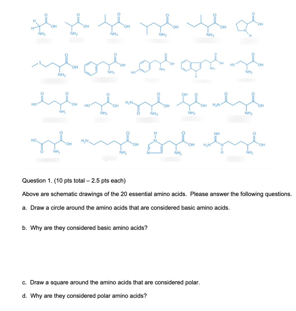 Question 1. (10 pts total 2.5pts each) Above are schematic drawings