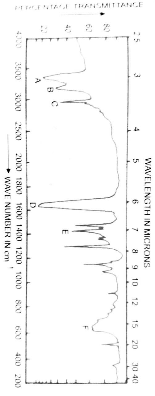  Please annotate the given IR spectra help me labelling the important