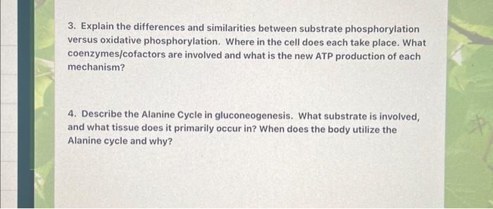 phosphorylation. Where in the cell does each take place. What coenzymes/cofactors are