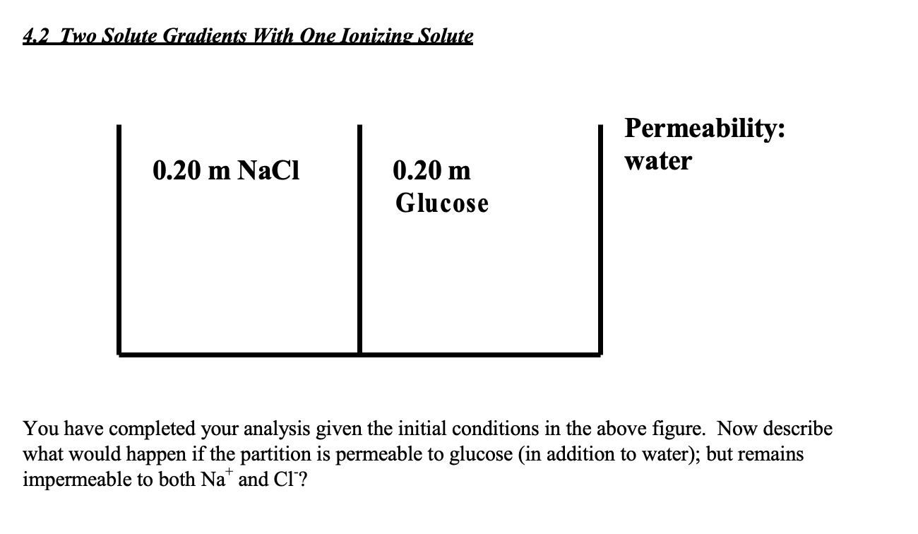 across the cell membrane (center divider)? The answer to this question requires