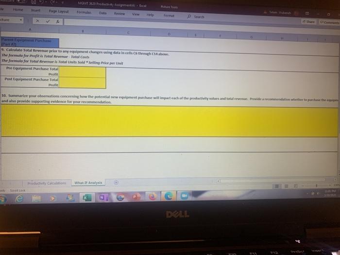 the information provided on the table MGMIT 20 Productivity Assignment) Excel Selam