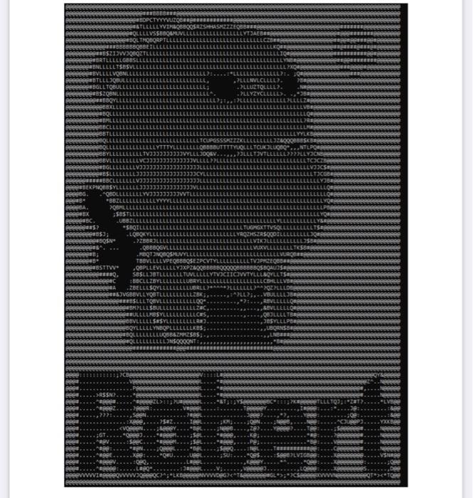 application that contains the following requirements: The program should output a customised