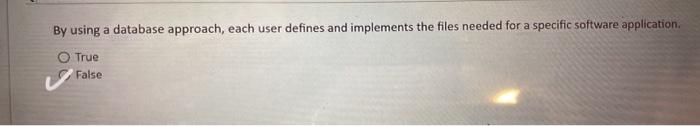 is it true or false? By using a database approach, each user
