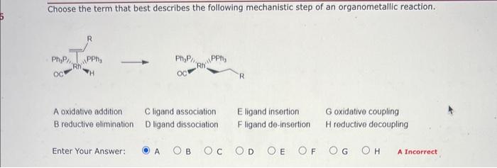 how do you approach this problem? Choose the term that best describes