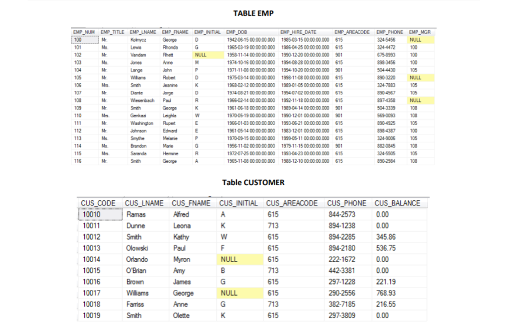 the following results 5. List the customers who have ordered product bearing