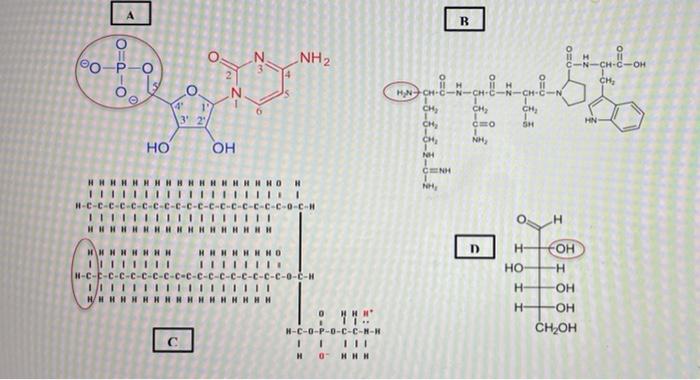 Fill out table using images from first picture A B OM NH2