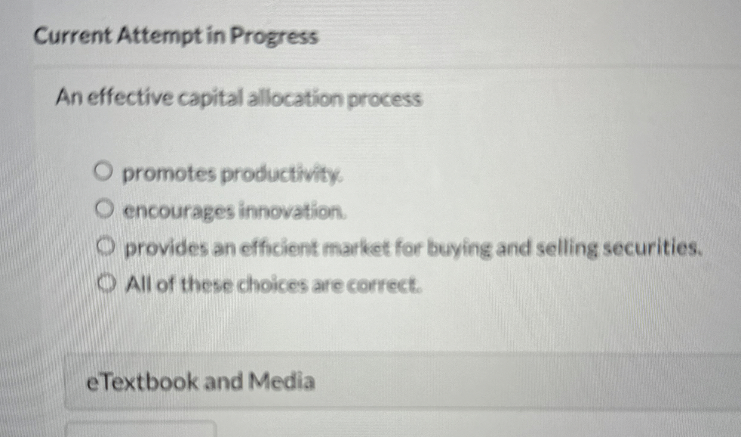  Current Attempt in Progress An effective capital allocation process promotes productivity.