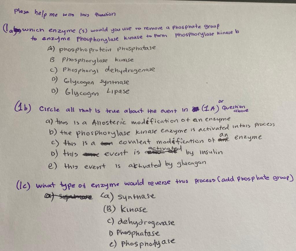 please help me with this question, i am having hard time to