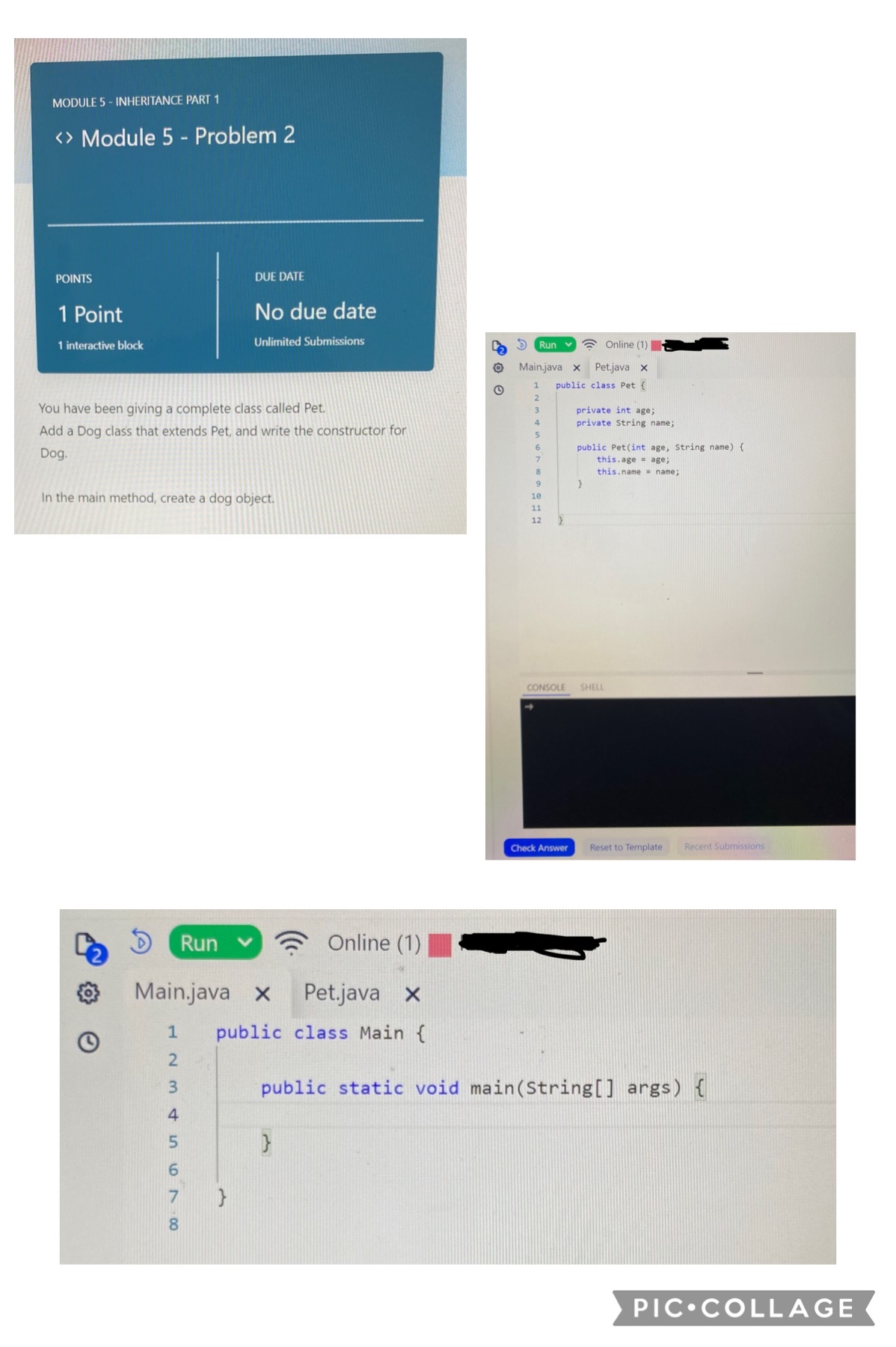image text in transcribed