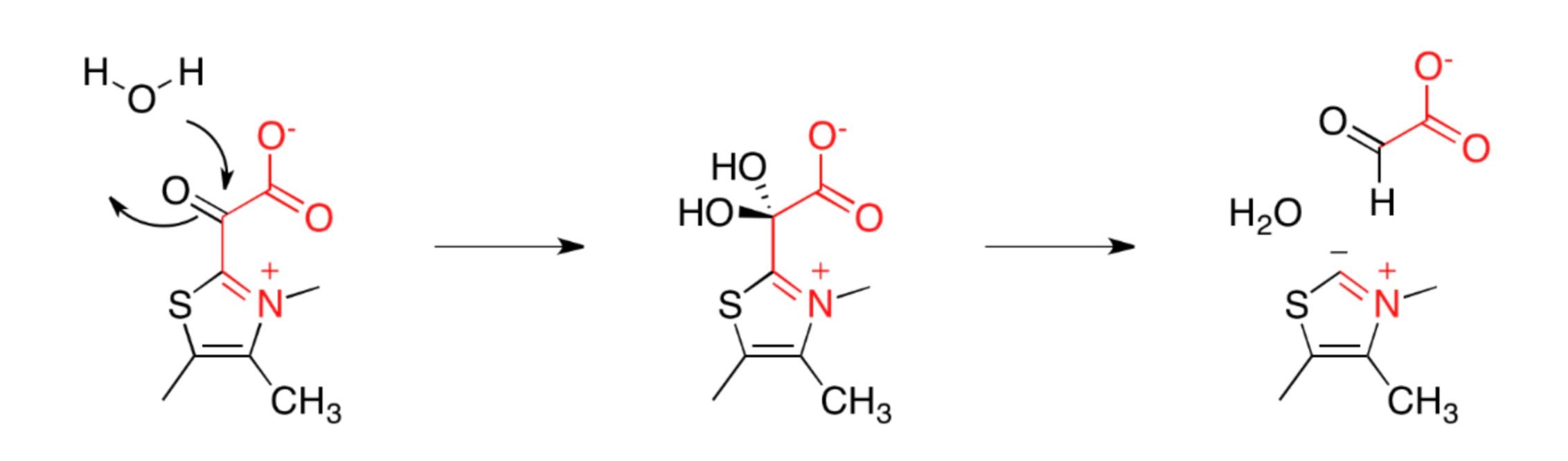 Draw the mechanism for the second steps 