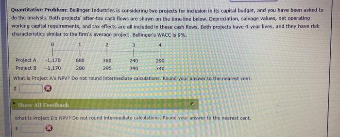its capital budget, and you have been asked to do the analysis.