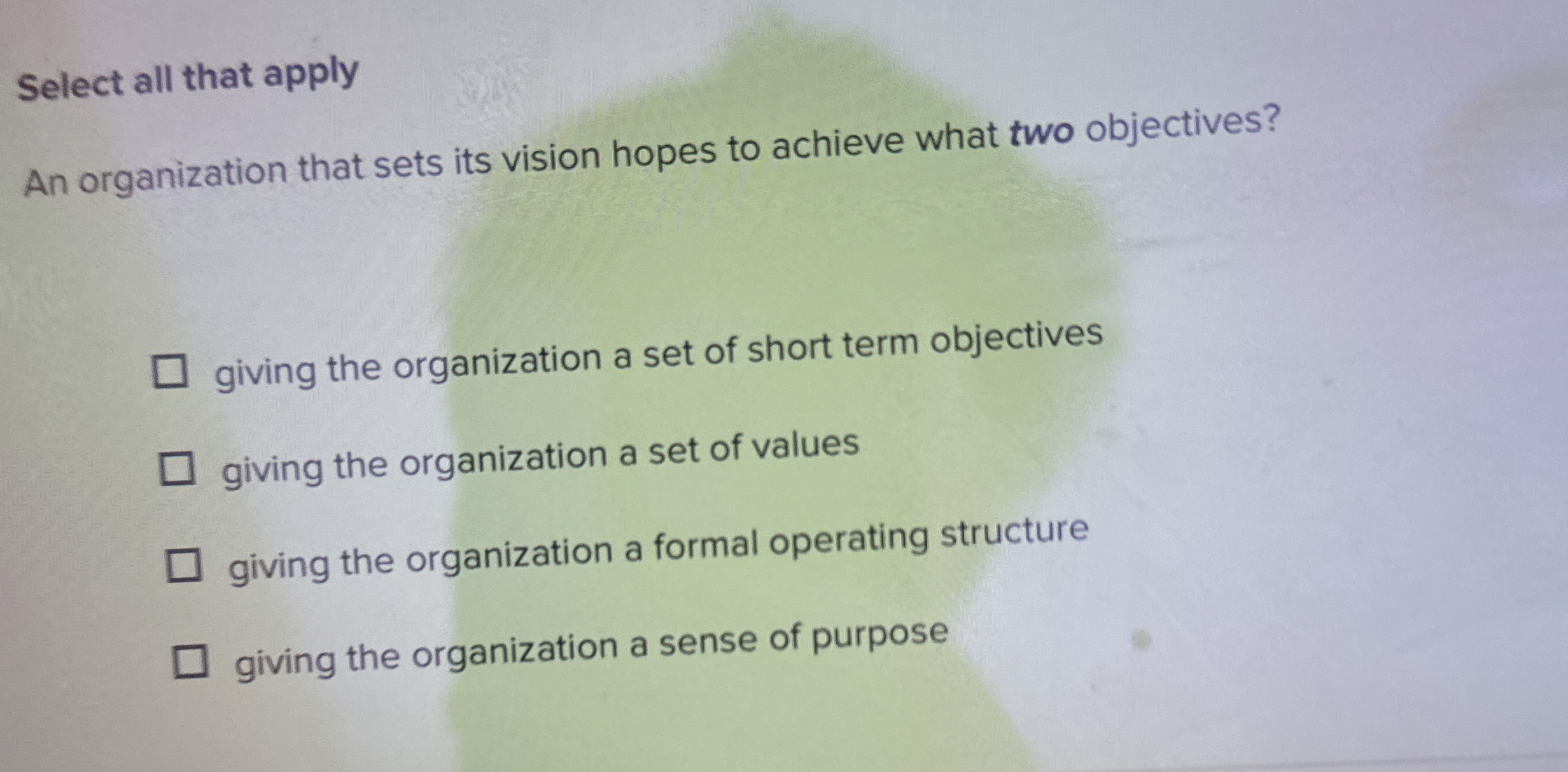  Select all that apply An organization that sets its vision hopes