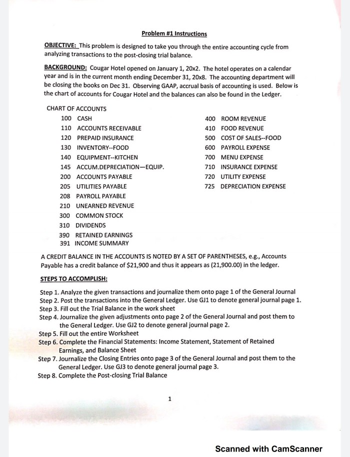  Problem #1 Instructions OBJECTIVE: This problem is designed to take you