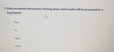  in boomi Only successful documents flowing down which path will be