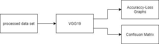 Write a python function that shows confusion matrix that provided by VGG19