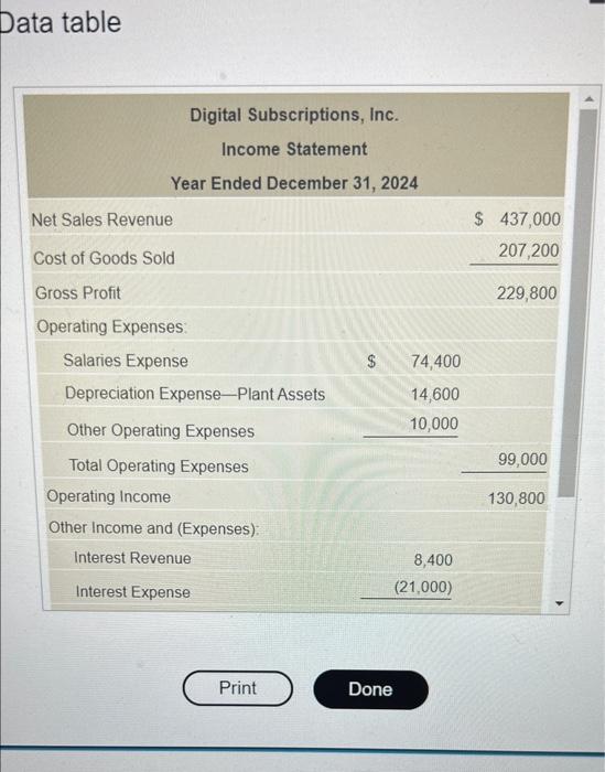 cash flows Data table Digital Subscriptions, Inc. Income Statement Year Ended December