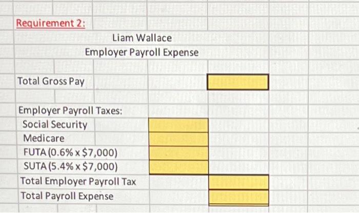 Wallace worked for the company all year at a $13,400 monthly salary.