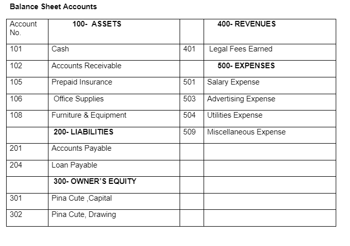 PERFORMANCE TASK NO. 1 Pina Cute, a lawyer, decided to open a