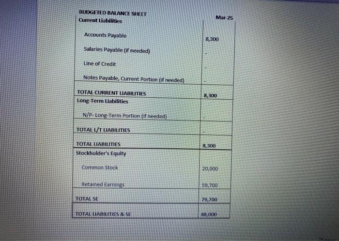 Operating Expense Operating Income loss) Other Revlax Interest Expense Loan/LOC) NET INCOMELOSS)