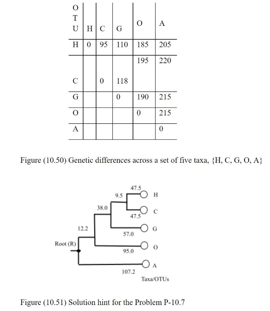 Statement of the problem Using the data on genetic differences across a