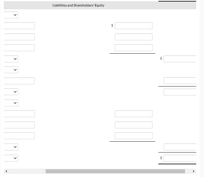 Liabilities and Shareholders' Equity $ $ Liabilities and Shareholders' Equity $
