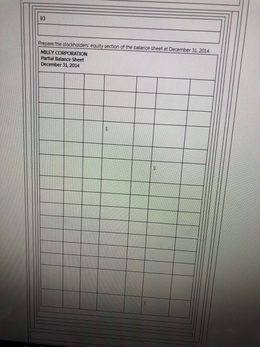 authorized) Paid-in Capital in Excess of Par Value Preferred Stock Paid-in Capital