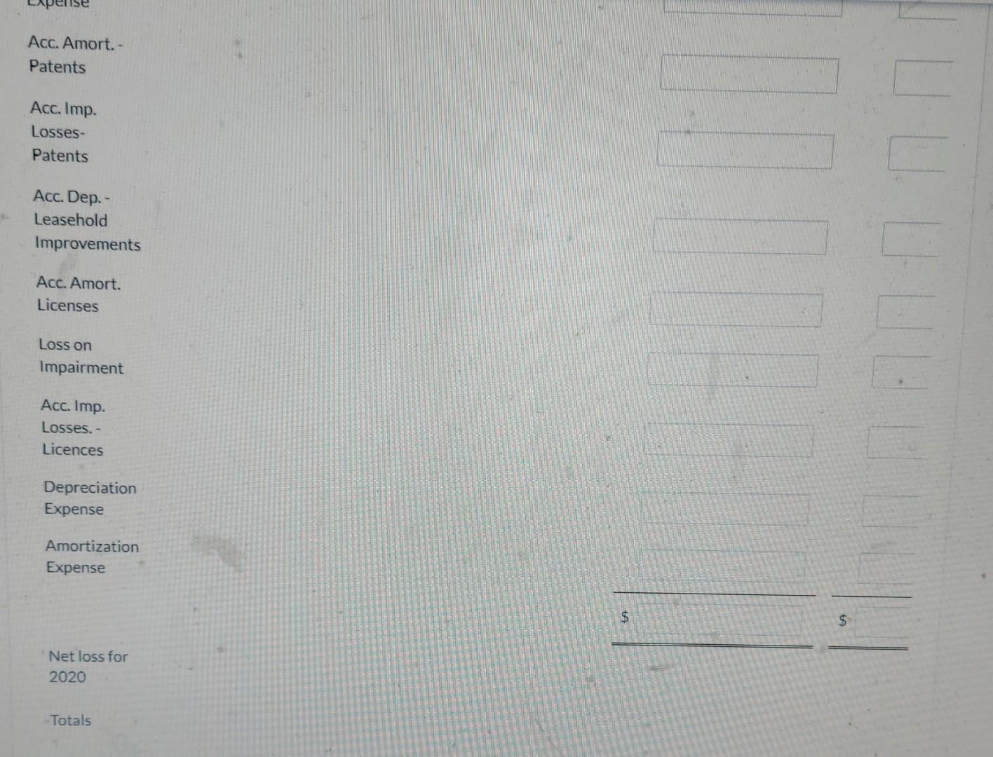 machinery covered by the patents and was charged to the Intangible Assets