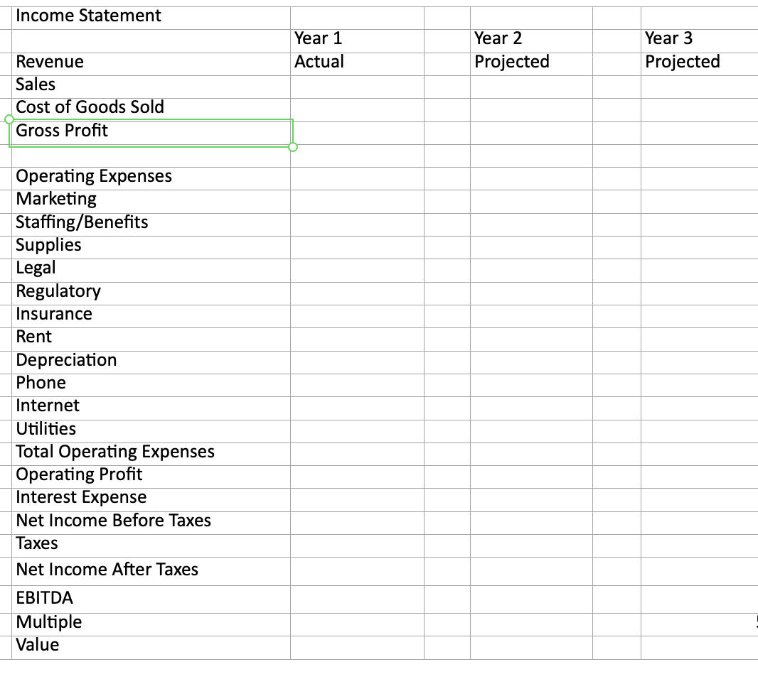  Step 2: Create pro forma financial statements given specific dollar inputs