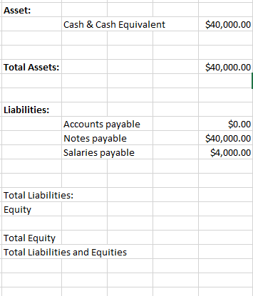 How do i fill in total liabilities, equity, total equity, total liabilities
