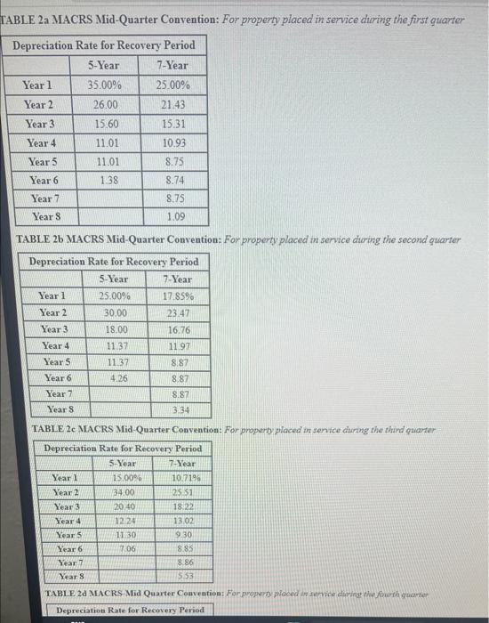 only business asset she purchased during the year, and her business was