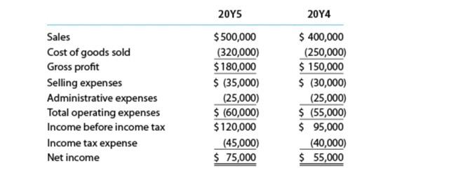 Income statement data for Cascade Images Inc. for the years ended December