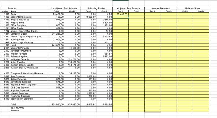data into the yellow filled cells. Name 1110 Cash 1311 Computer Equip.