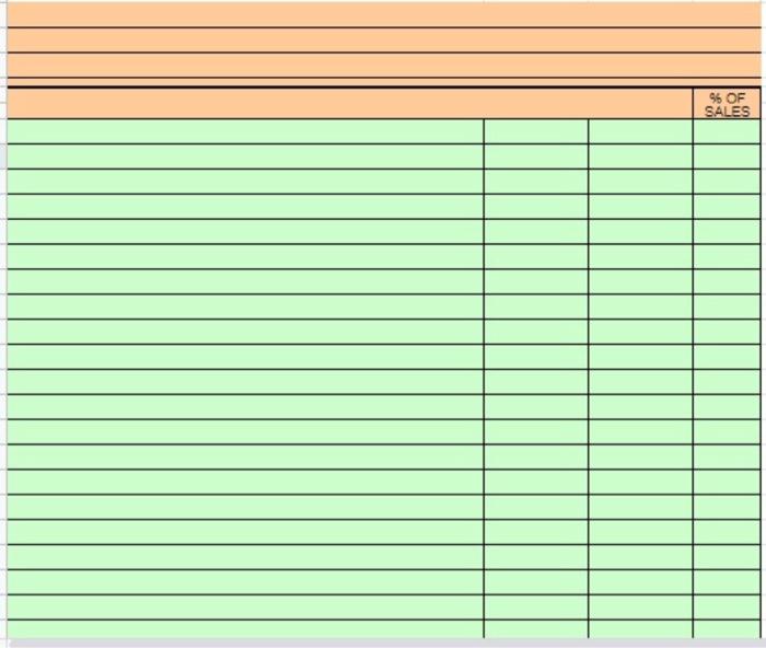 Complete a Income Statement using the provided info from the worksheet and