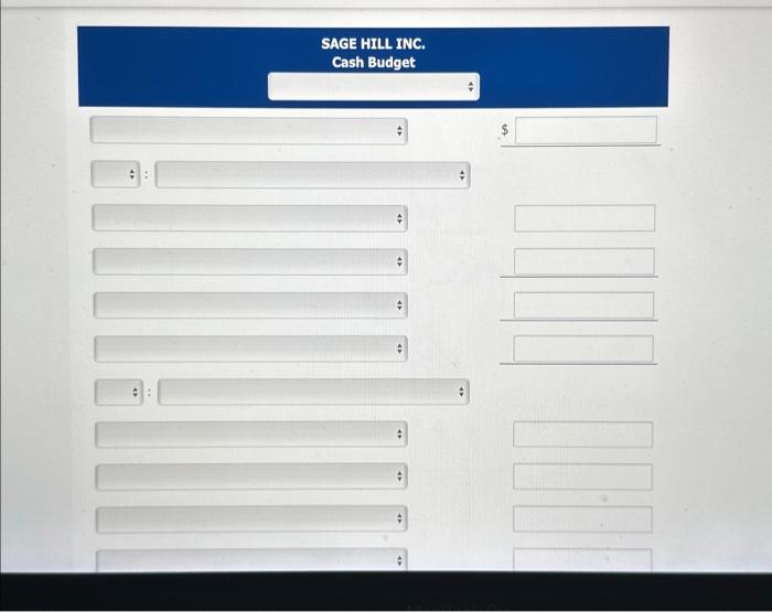 concerning Sage Hill Inc. is as follows. 3. Sales are both cash