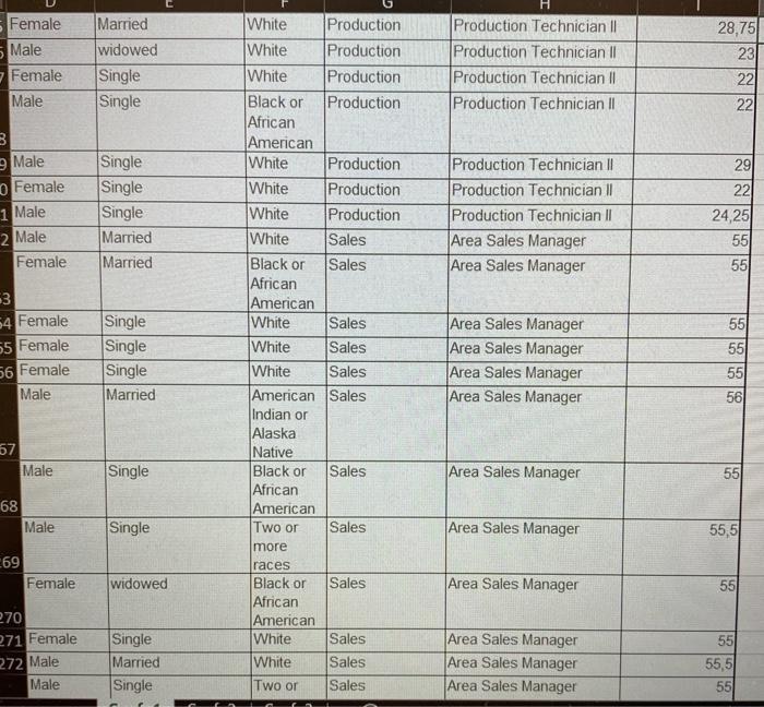 President & CEO Single White ITAIS CIO Single White ITAS Database Administrator