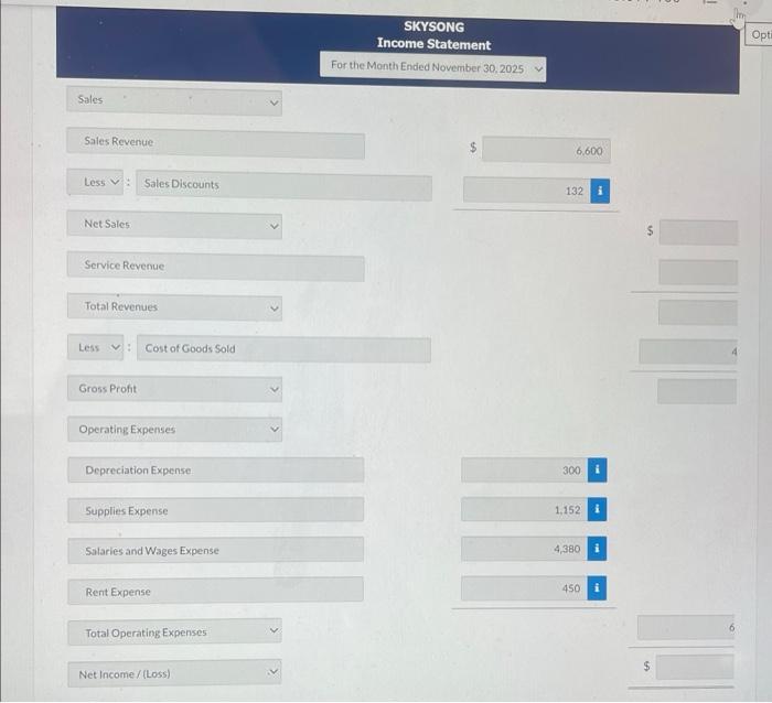 for November. SIKYSONG Income Statement For the Month Ended Novermber 30, 2025