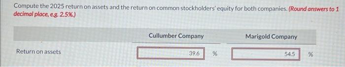  Compute the 2025 return on assets and the return on common