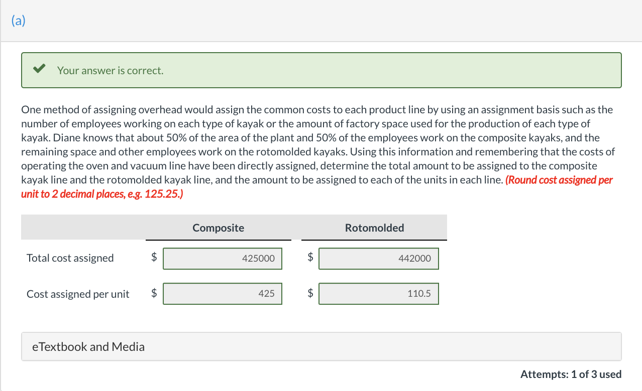 main product lines-composite kayaks, which are handmade and very labor-intensive, and rotomolded