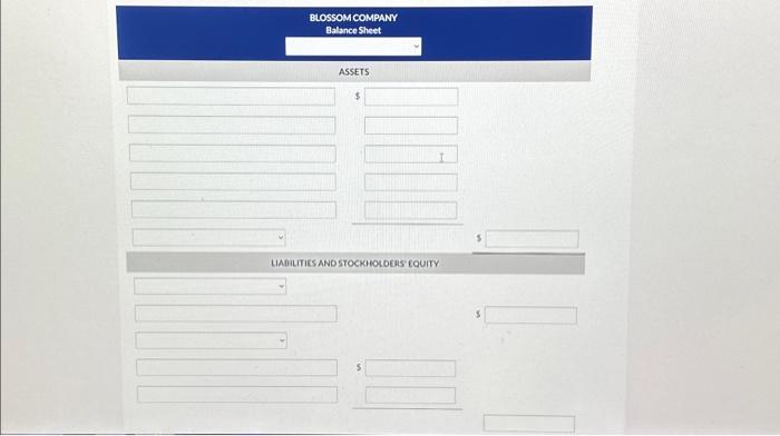 balance sheet items of Blossom Company at December 31, 2025. Prepare a