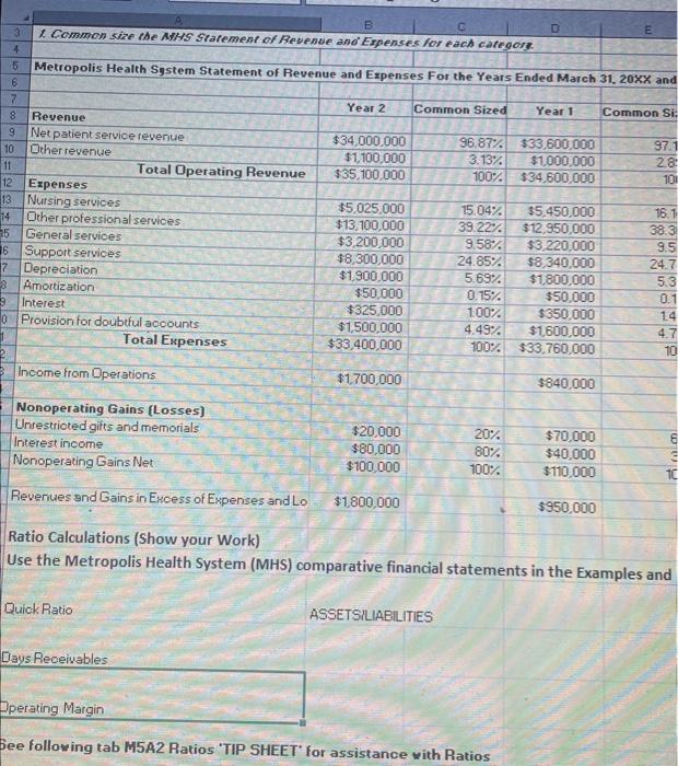 Ccmmon size the AMHS Sratement of Reyenve ano Expenses for each categorg.