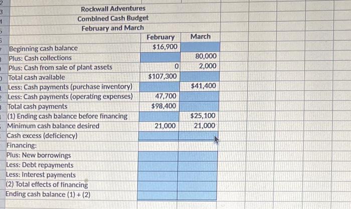 an accounting intern at Rockwall Adventures. Your first task was to help