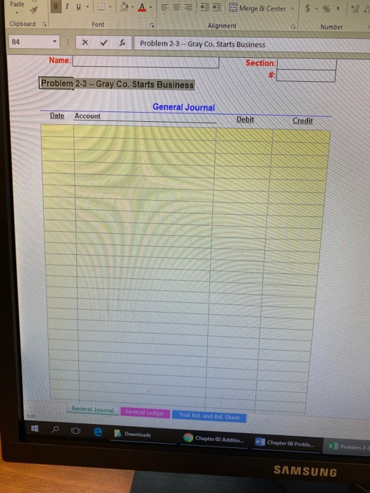 are used to record Gray Co.'s February transactions. Observe the beginning balances