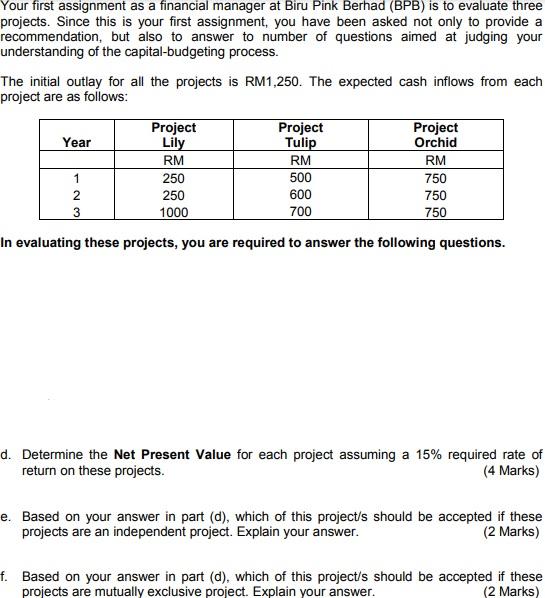  Your first assignment as a financial manager at Biru Pink Berhad